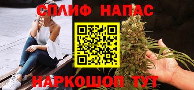 стаф Новокубанск
