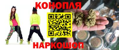 стаф Новокубанск