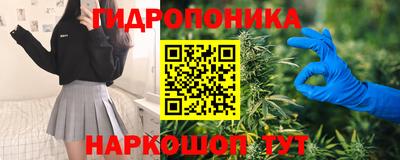 MDMA Новодвинск