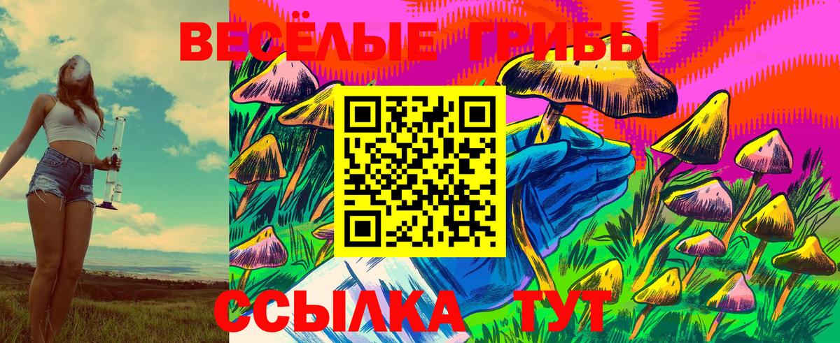 Псилоцибиновые грибы Magic Shrooms Санкт-Петербург