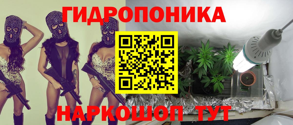 Каннабис конопля  Марихуана ГИДРОПОН  Марихуана сатива  Конопля SATIVA & INDICA  Вход с VPN  Санкт-Петербург 